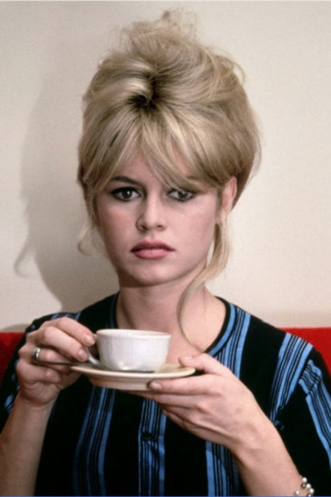 1532119-brigitte-bardot-la-pasionaria.jpg